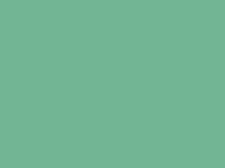 Color_Grout