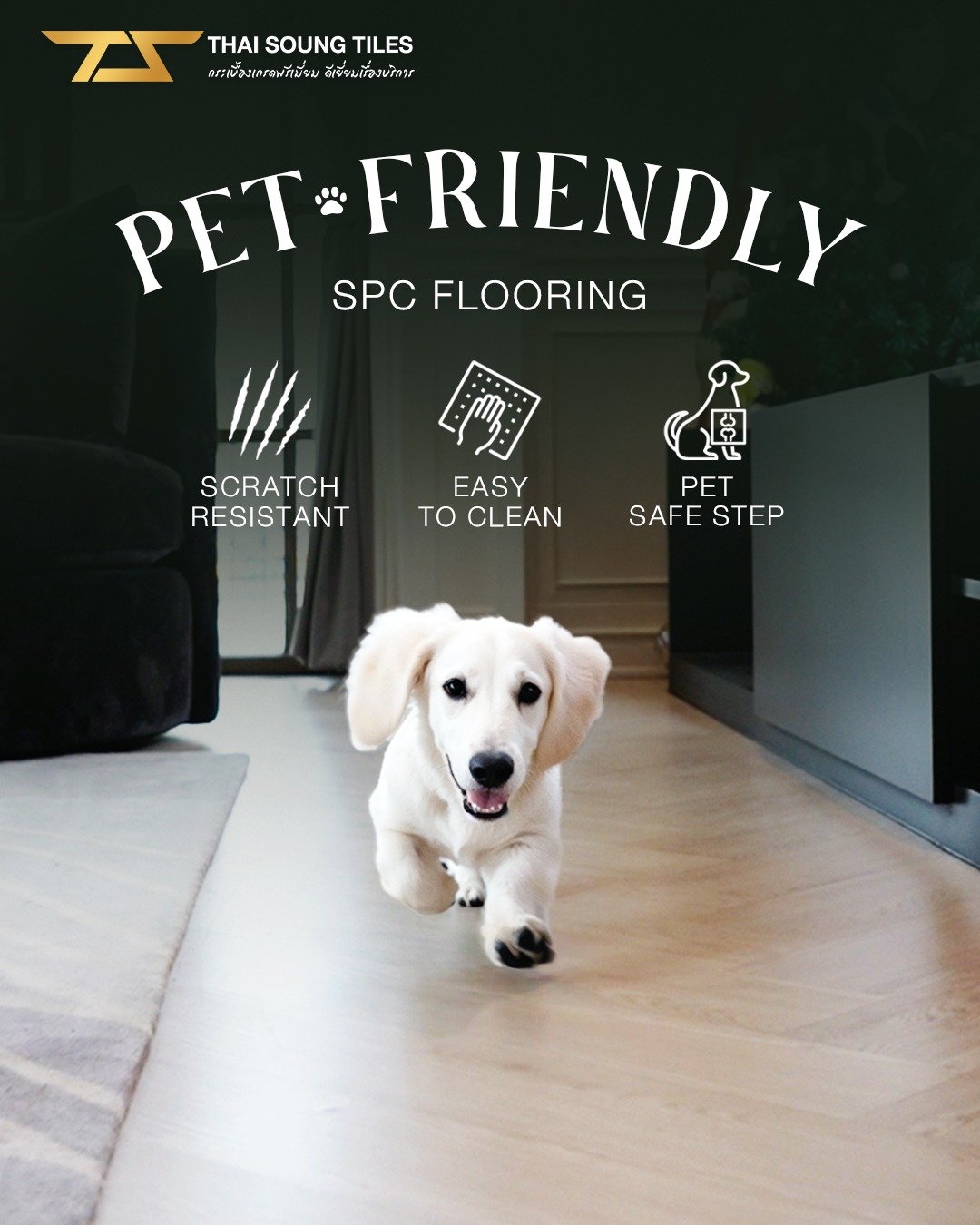 กระเบื้องสำหรับสัตว์เลี้ยง pet friendly - กระเบื้องยาง SPC