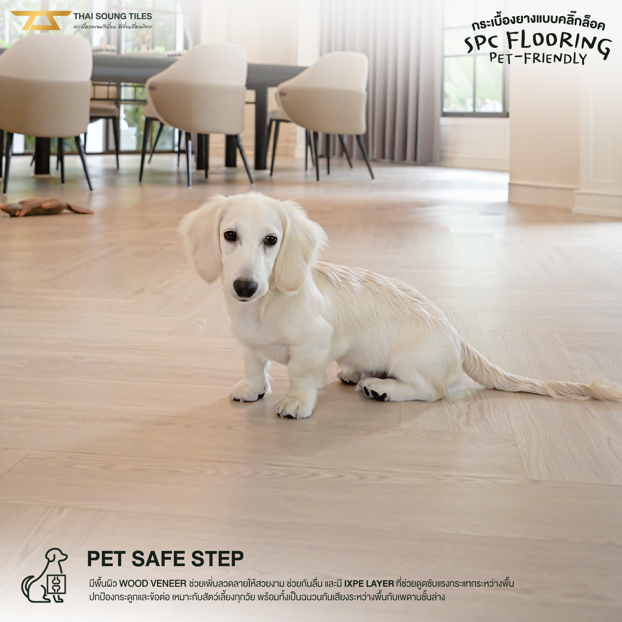 กระเบื้องสำหรับสัตว์เลี้ยง pet friendly - กระเบื้องยาง SPC_2