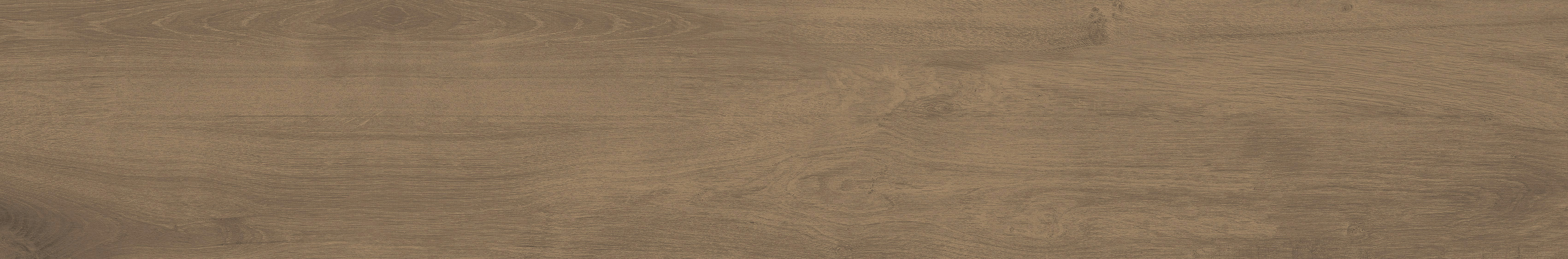 HAYDEN-WOOD-OAK-MATT-RAN6-R9-20x120cm