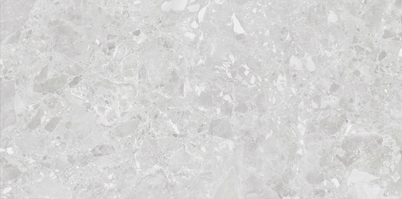 NUOVO-TERRAZZO-SILVER-MATT-RAN6-R10-60x120cm