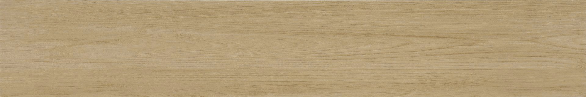 122K-WOOD-BEECH-MATT-RANไม่จำกัด-R9-20x120cm
