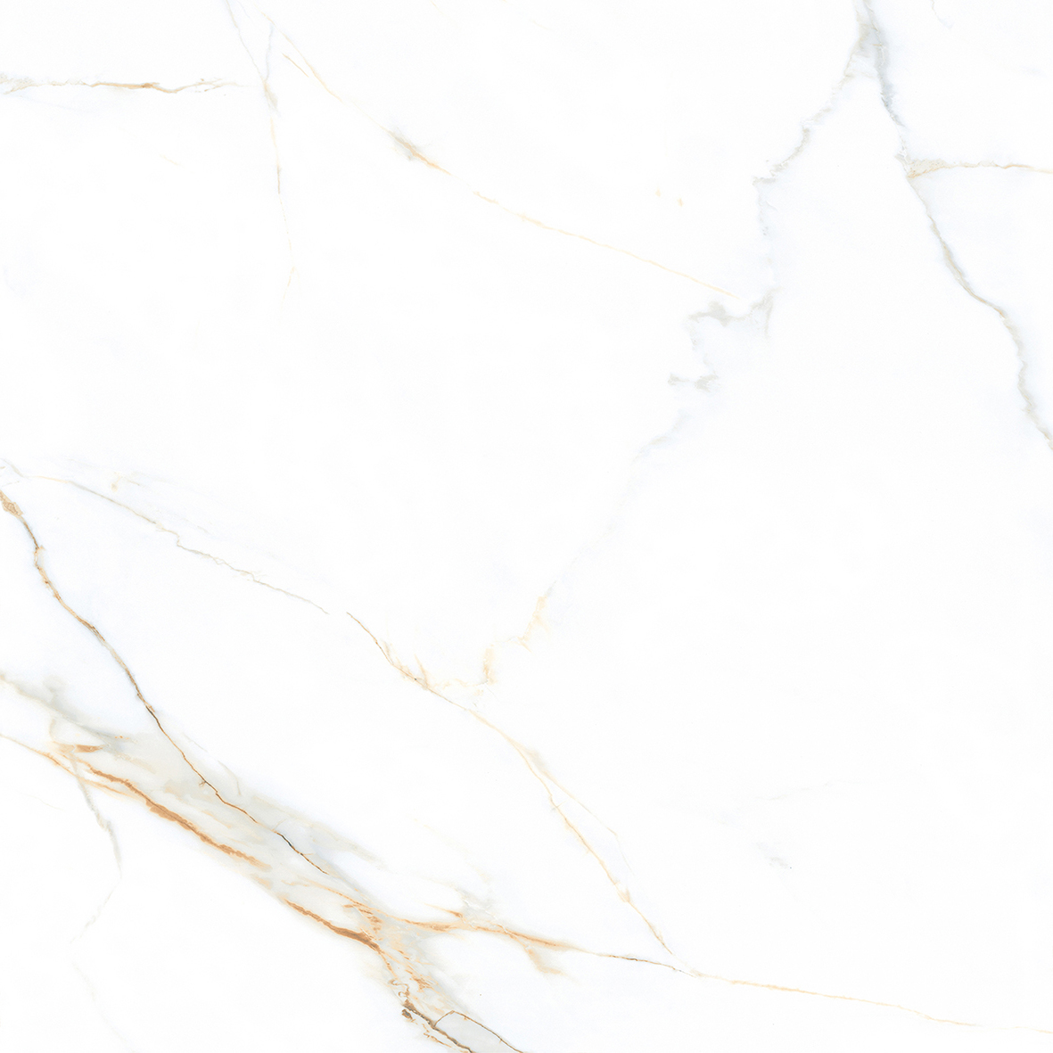 TAPESTRY-CARARA-CLASSY-BROWN-MATT-RAN4-R9-120x120cm