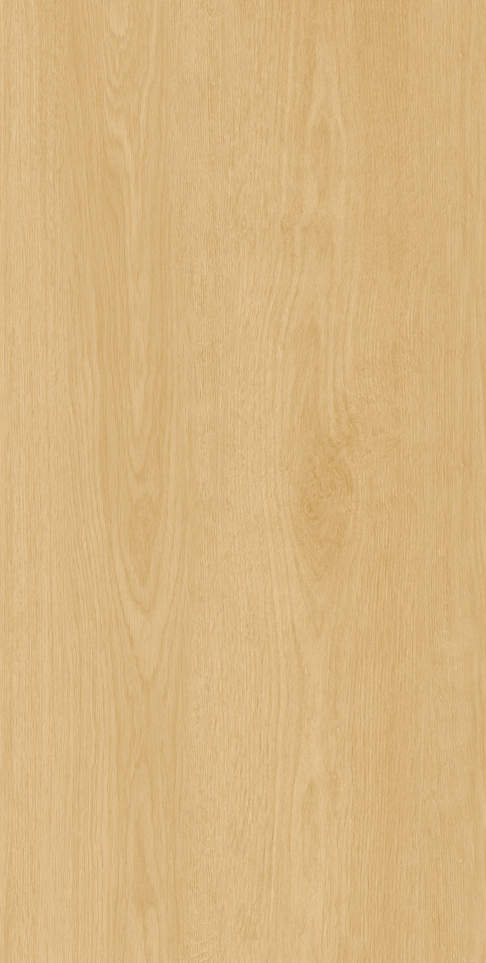 ACACIA-WOOD-NATURAL-MATT-RAN20-R9-60x120cm