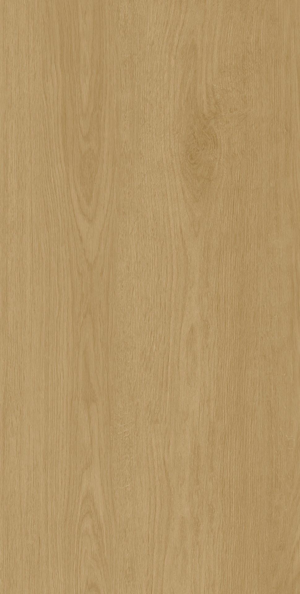 ACACIA-WOOD-ALMOND-MATT-RAN20-R9-60x120cm