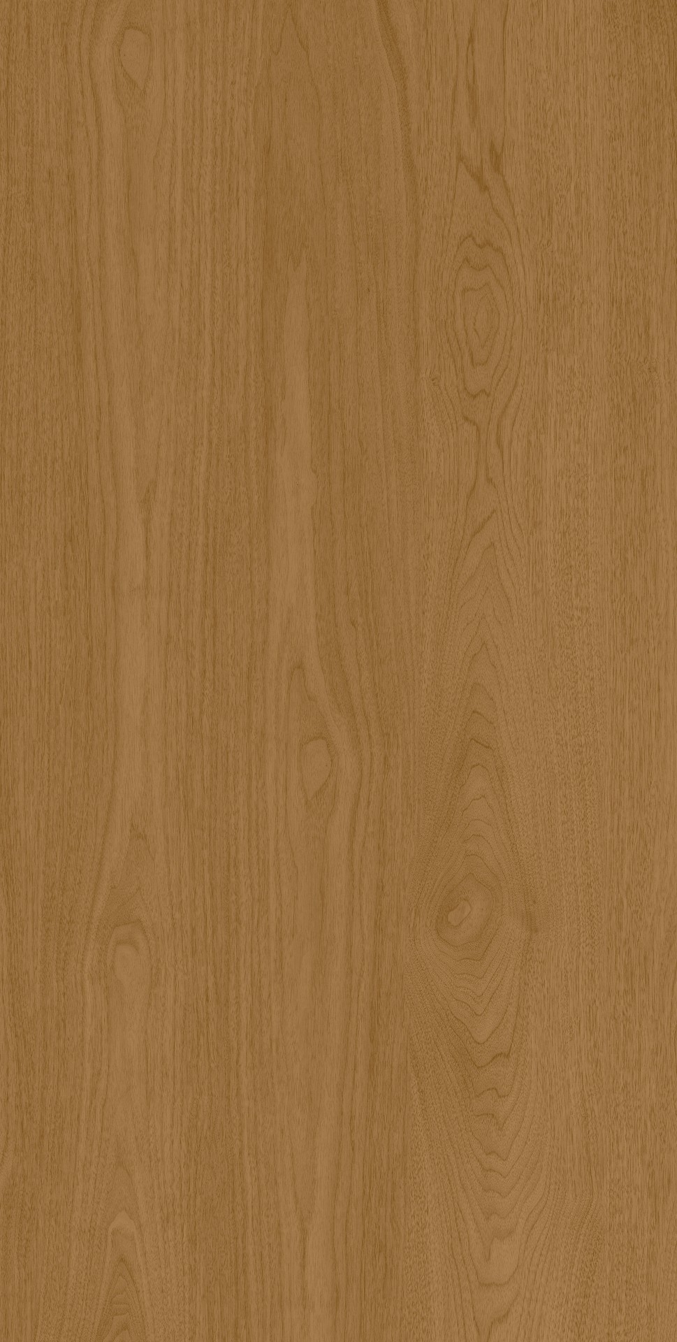 ACACIA-WOOD-WALNUT-MATT-RAN20-R9-60x120cm