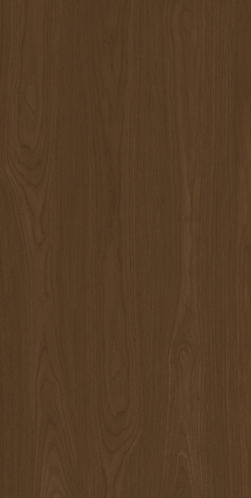 ACACIA-WOOD-MOCCA-MATT-RAN20-R9-60x120cm
