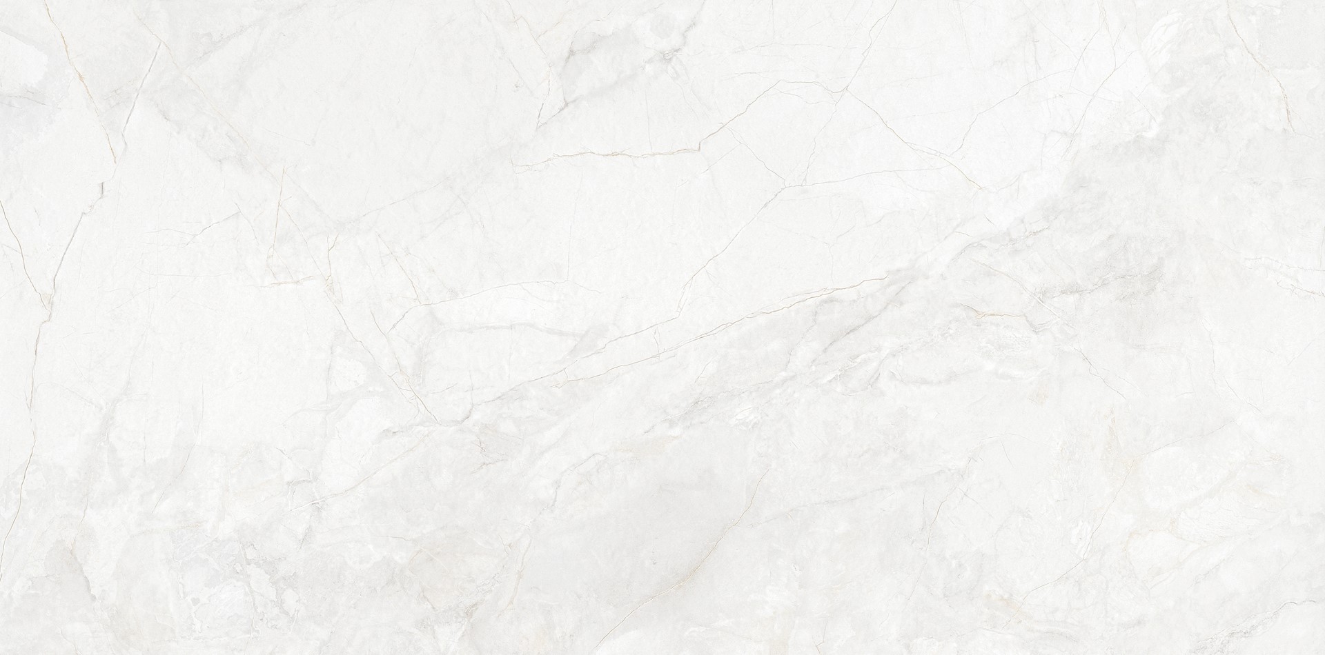BELGA-WHITE-CARRARA-POLISHED-RAN8-60x120cm