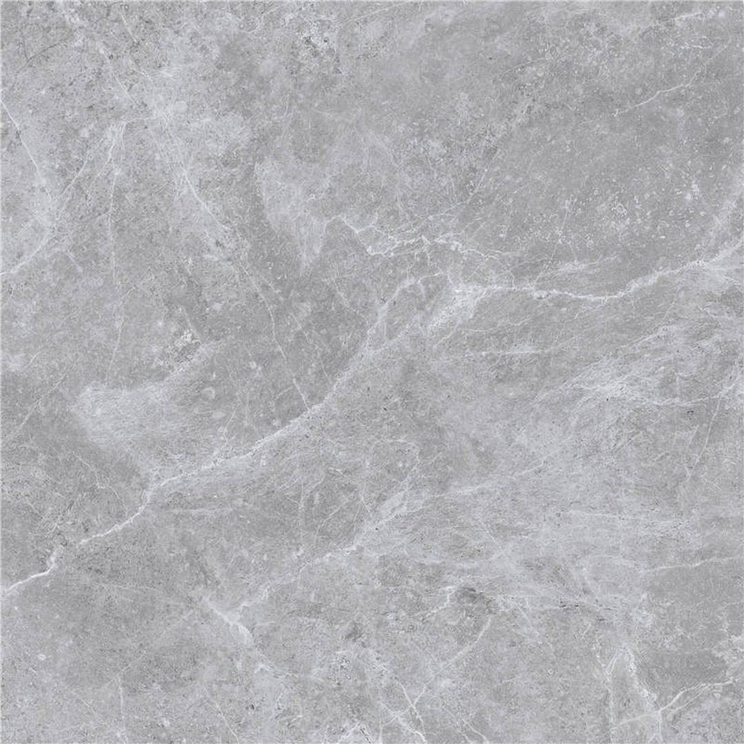 PILATUS-LIGHT-GREY-MATT-RAN8-R9-60x60cm