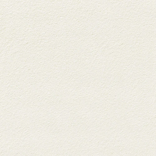 image of BIG GRAIN JEH WHITE ROUGH RANไม่จำกัด R11