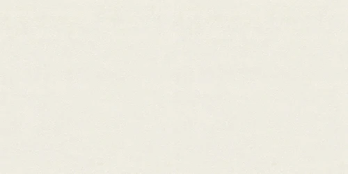 image of BIG GRAIN JG WHITE MATT RANไม่จำกัด R10