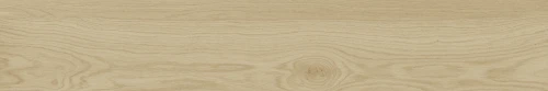 image of FRENCH OAK WOOD NATURAL MATT RAN40 R9