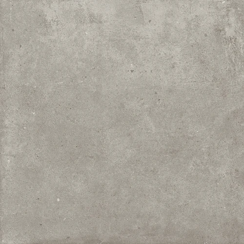 image of PARADIGM TORTORA LAPPATO RAN6