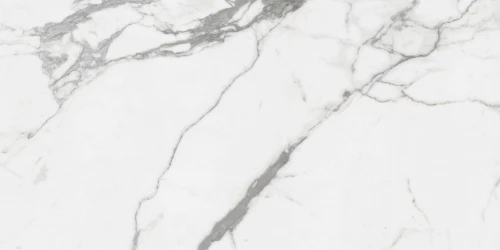 image of CARARA POLISHED 21P SW.B RAN4