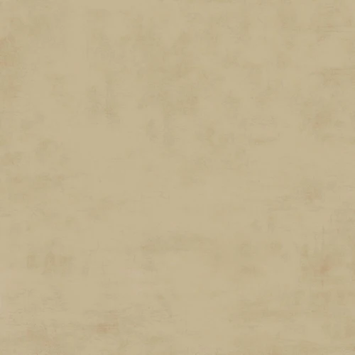 image of SH BEIGE MATT RANไม่จำกัด R9